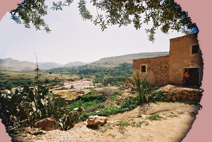 habiba